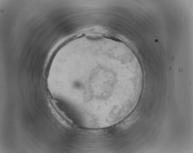 X0000067470816200605051645