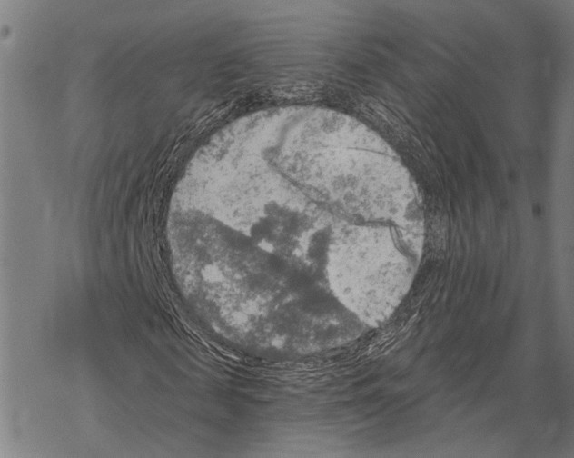 X0000067470817200605051644