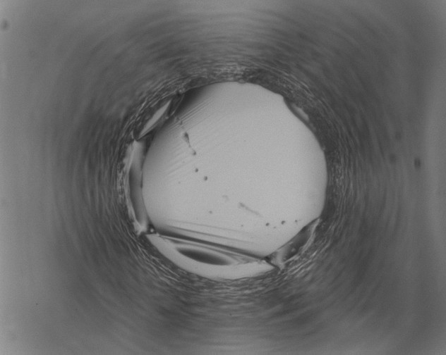 X0000067470818200605051644