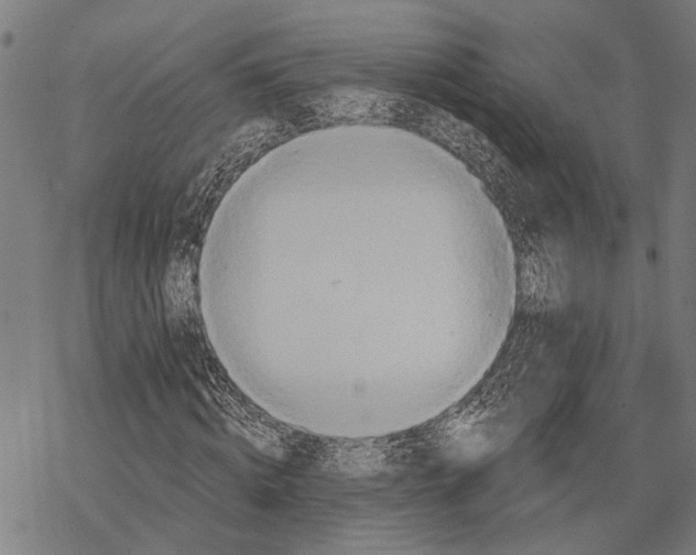 X0000067470820200605051645