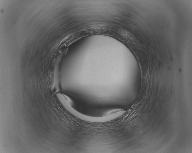 X0000067470822200605051645