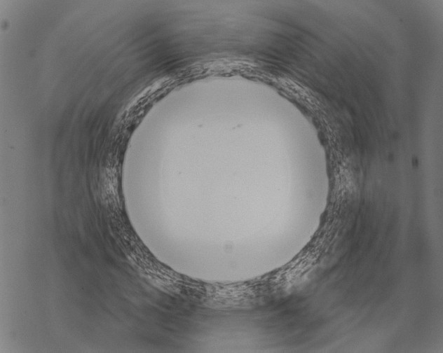 X0000067470824200605051645