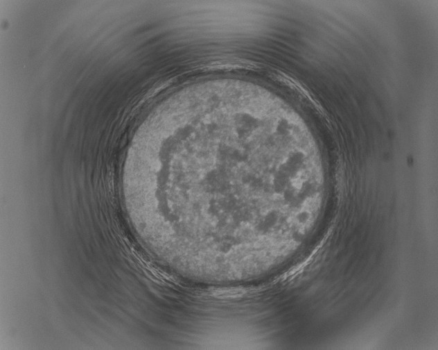 X0000067470825200605051645