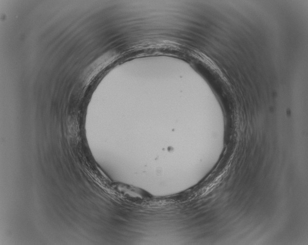 X0000067470826200605051645