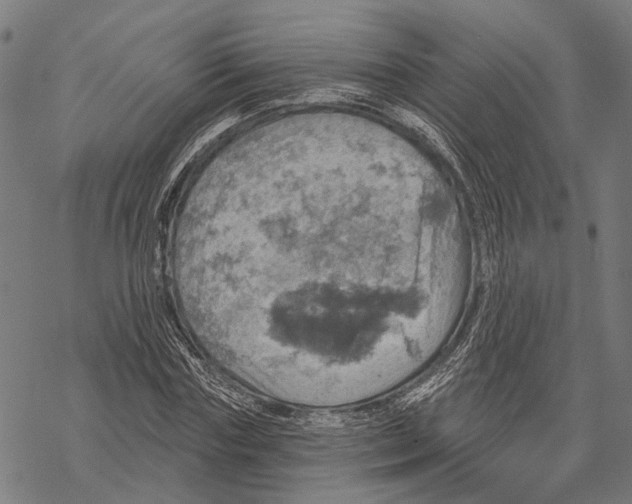 X0000067470827200605051645