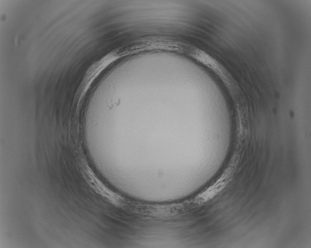 X0000067470828200605051645