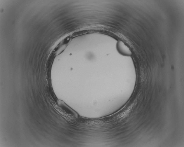 X0000067470830200605051645