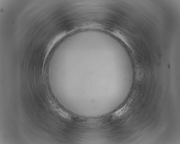 X0000067470832200605051645