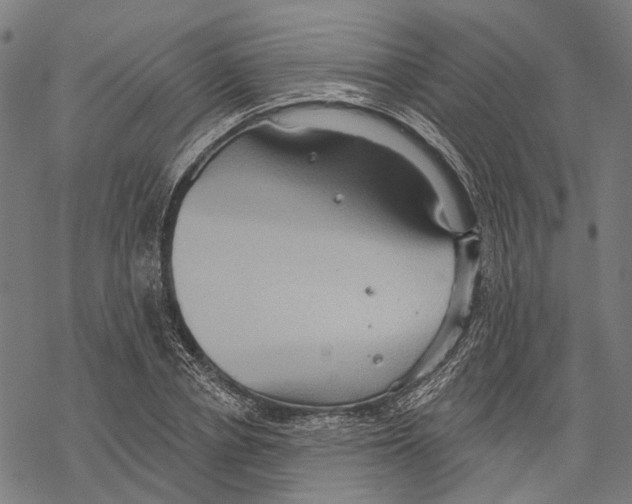 X0000067470834200605051645