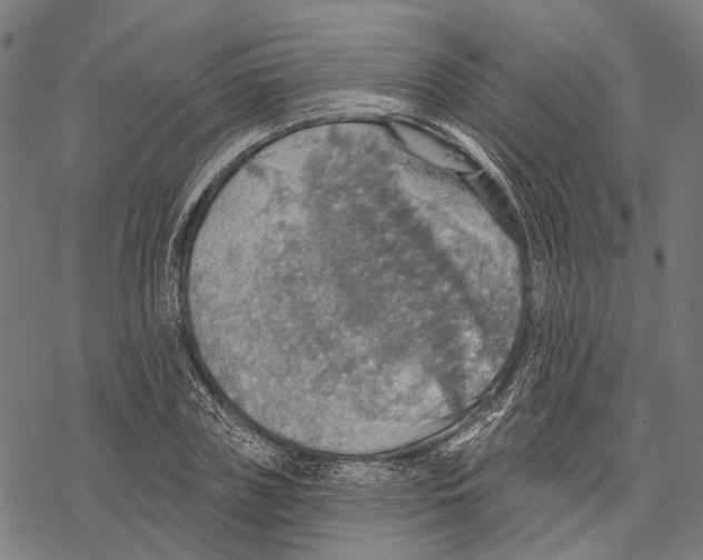 X0000067470835200605051645