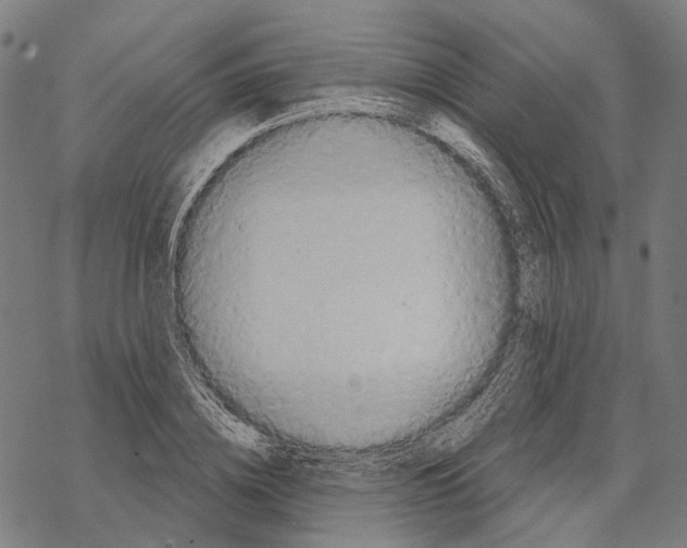 X0000067470836200605051645