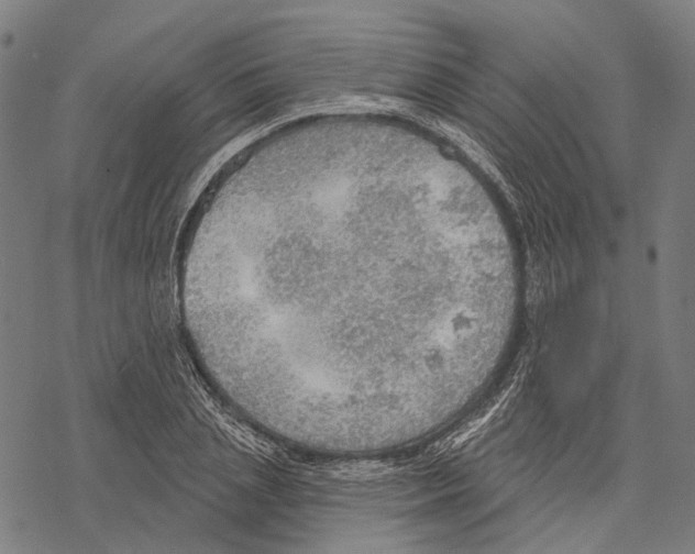 X0000067470837200605051645