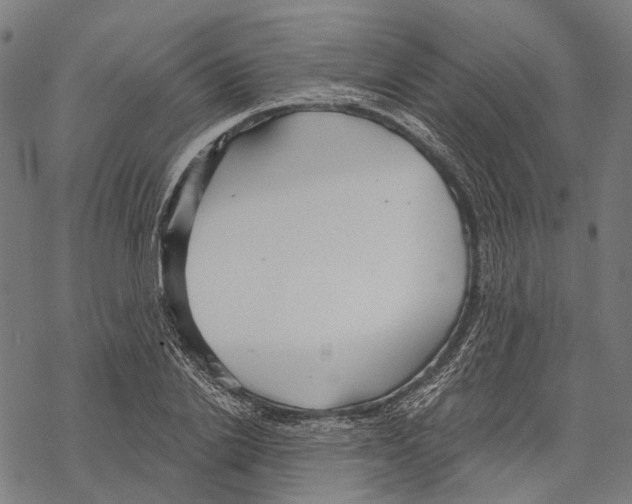 X0000067470838200605051645