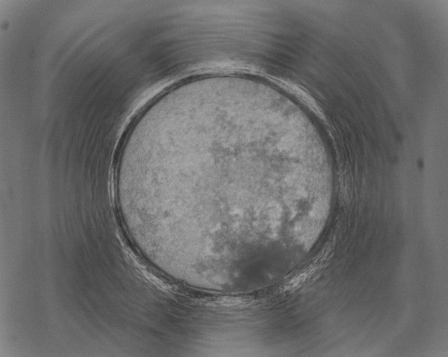 X0000067470839200605051645