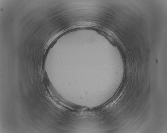 X0000067470842200605051645