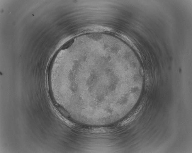 X0000067470843200605051645