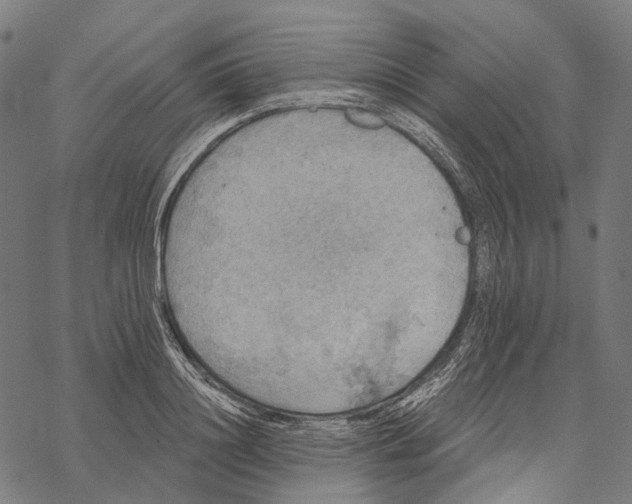 X0000067470844200605051645