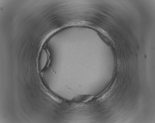 X0000067470846200605051645