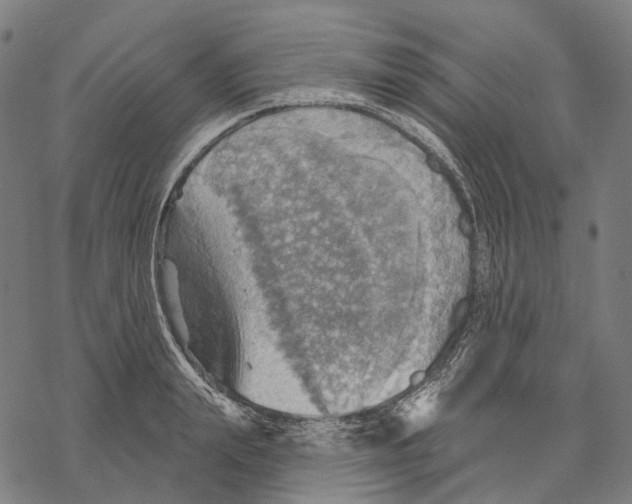 X0000067470847200605051645