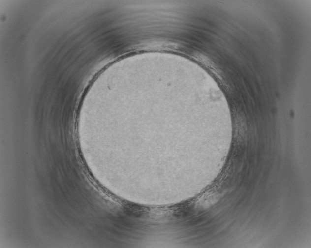 X0000067470848200605051645