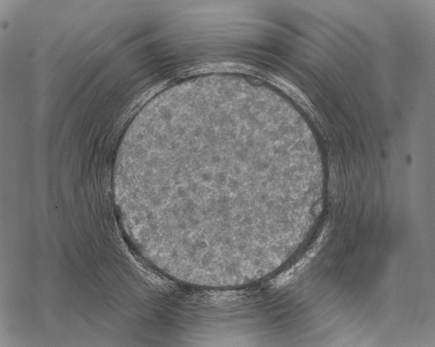 X0000067470849200605051645