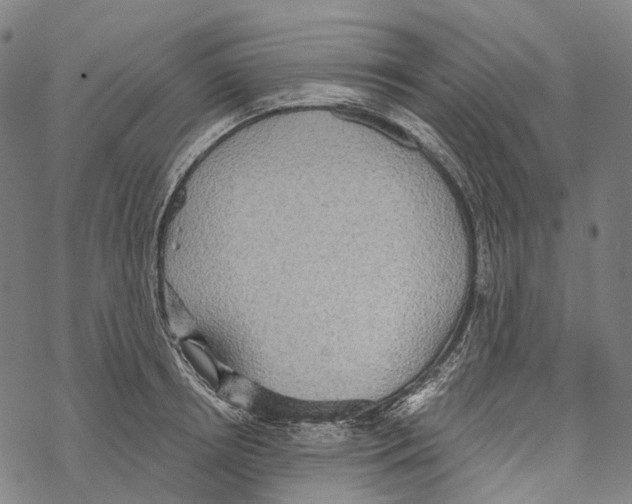 X0000067470850200605051645