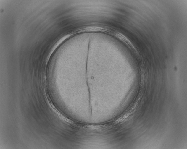 X0000067470852200605051645