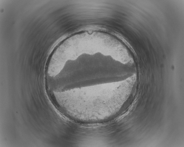 X0000067470853200605051645