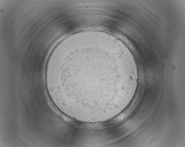 X0000067470856200605051645