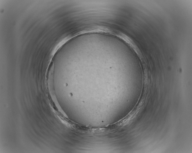 X0000067470858200605051645