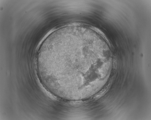 X0000067470859200605051645