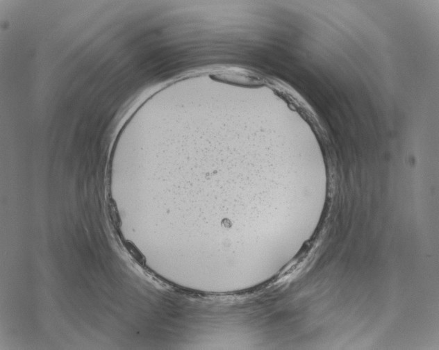 X0000067470860200605051645