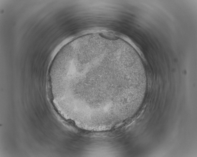 X0000067470861200605051645