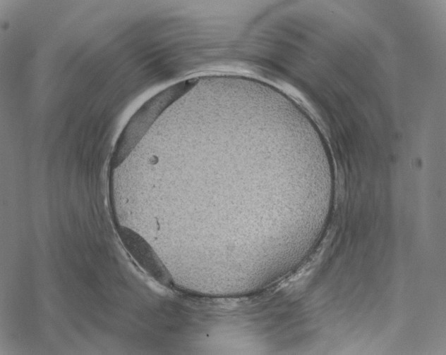 X0000067470862200605051645