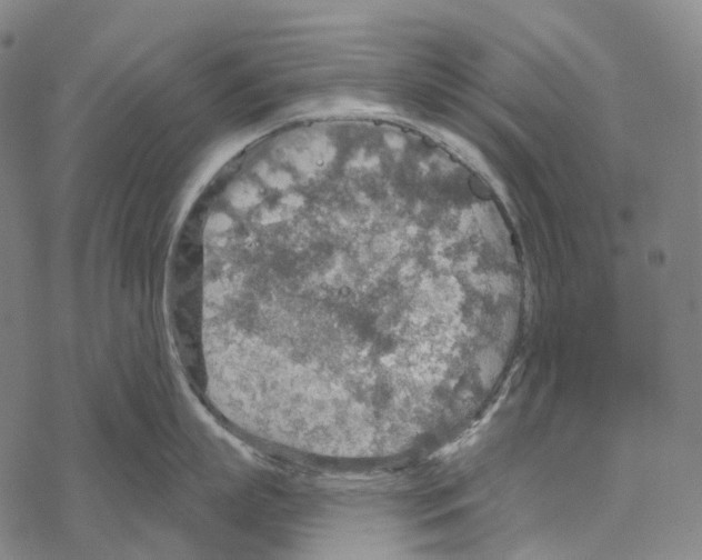 X0000067470863200605051645