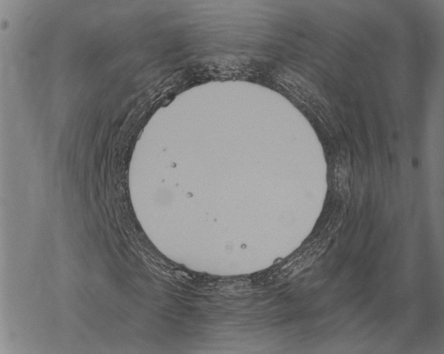 X0000067470865200605051644