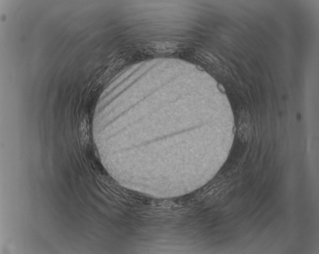 X0000067470866200605051644