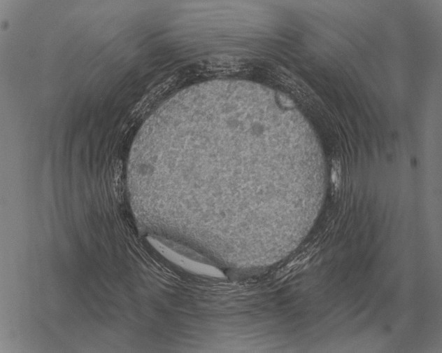 X0000067470867200605051644