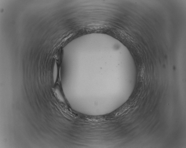 X0000067470868200605051644