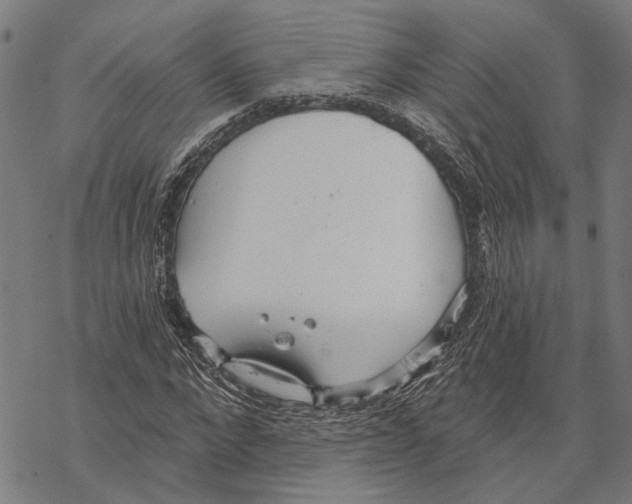 X0000067470872200605051644