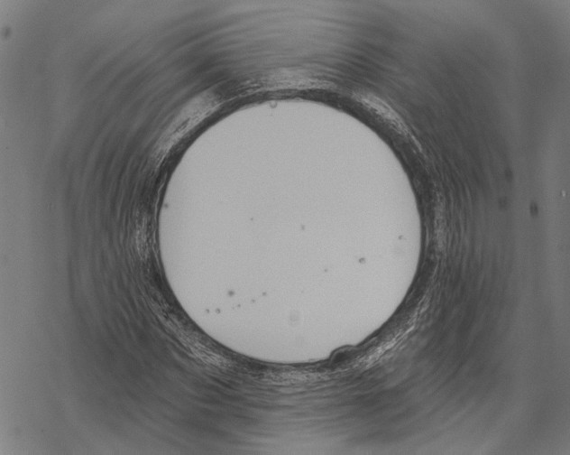 X0000067470873200605051644