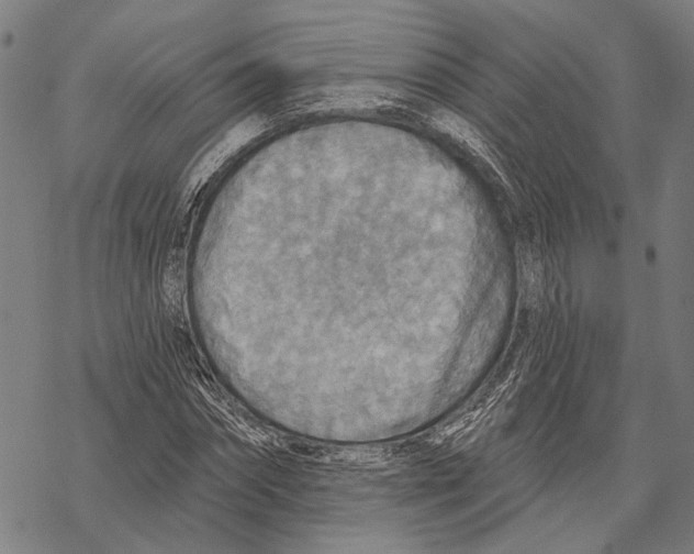 X0000067470874200605051644