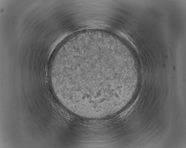 X0000067470875200605051644