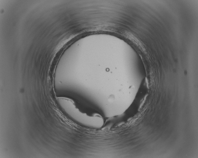 X0000067470876200605051644