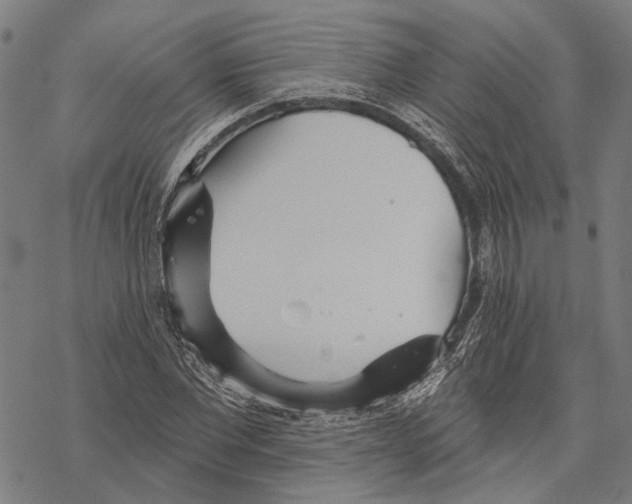 X0000067470877200605051644