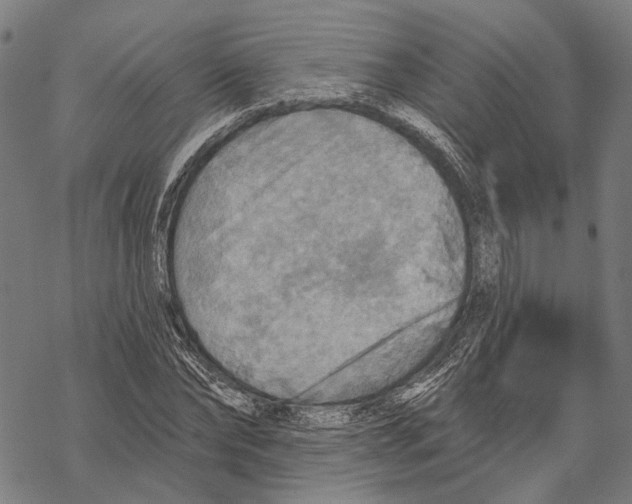 X0000067470878200605051644