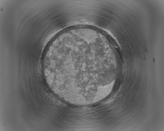 X0000067470879200605051644