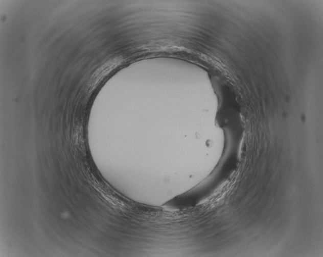 X0000067470881200605051644