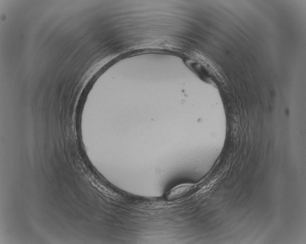 X0000067470884200605051644