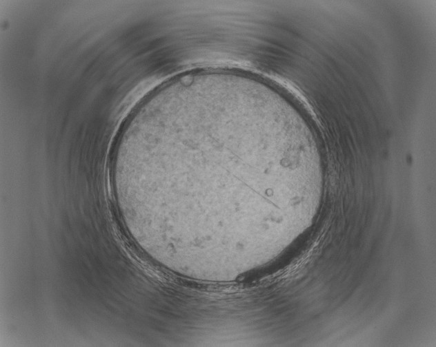 X0000067470887200605051644